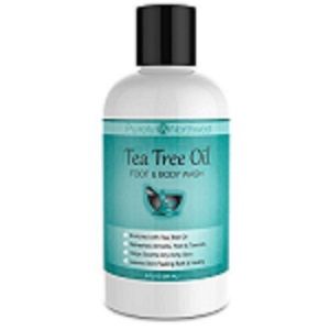 Best Body Wash For Men Your Cleaning Guide 6 Purely-Northwest-Antifungal-Tea-Tree