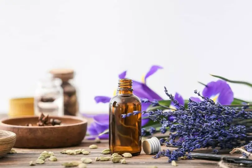 Perfume With Purple Bottle