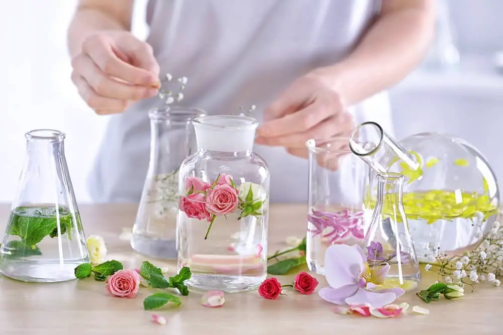 What Perfume Should I Wear Quiz Find The Perfect Scent For You