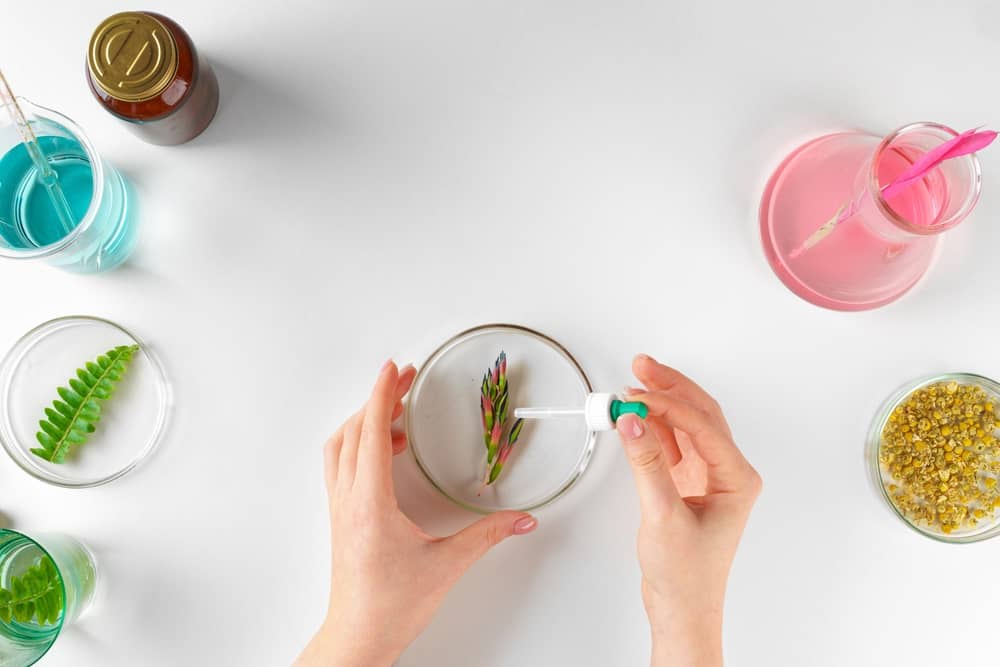 How To Spot Fake Creed Viking Grooming Wise