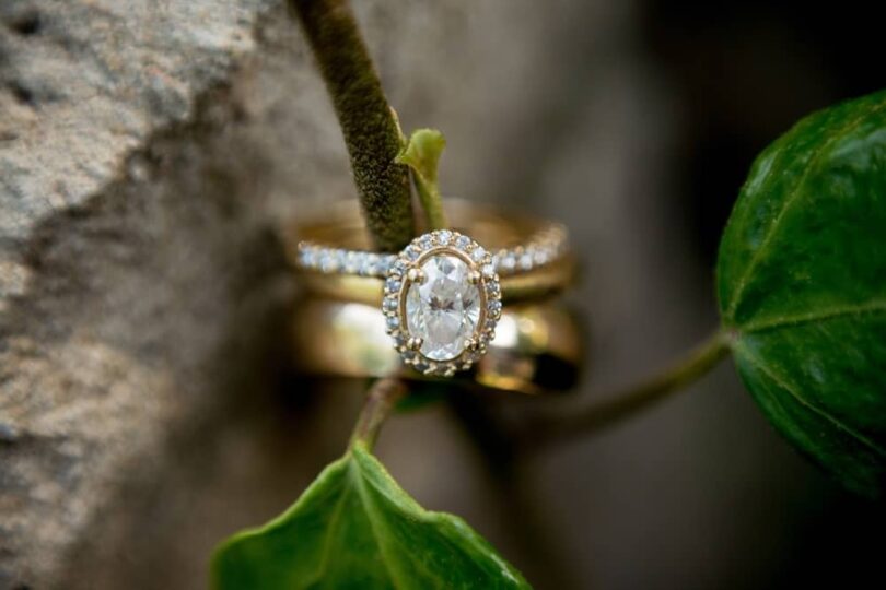 Engagement Ring With Vines