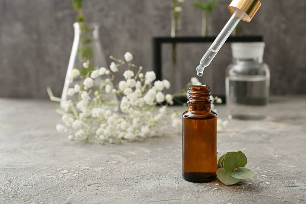 How Does Jimmy Choo Perfume Smell Grooming Wise