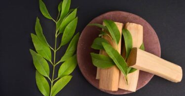 How To Make Sandalwood Perfume