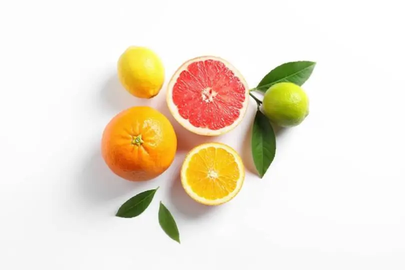 Perfumes with Bergamot and Citrus