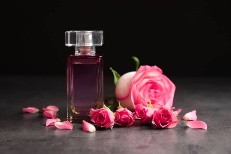 Perfume Similar To Prada Candy L'eau