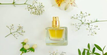 Fragrance Similar To Bottega Veneta