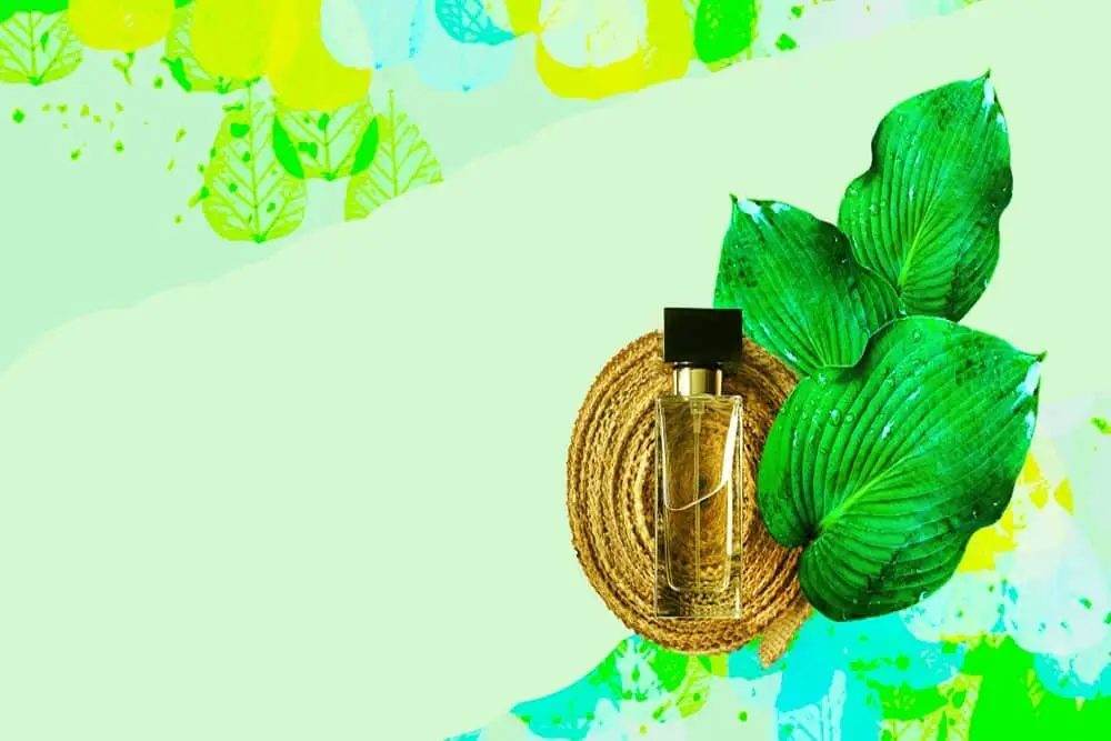 Perfume Similar To Champs Elysees