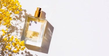 Perfume Similar To Gucci Memoire