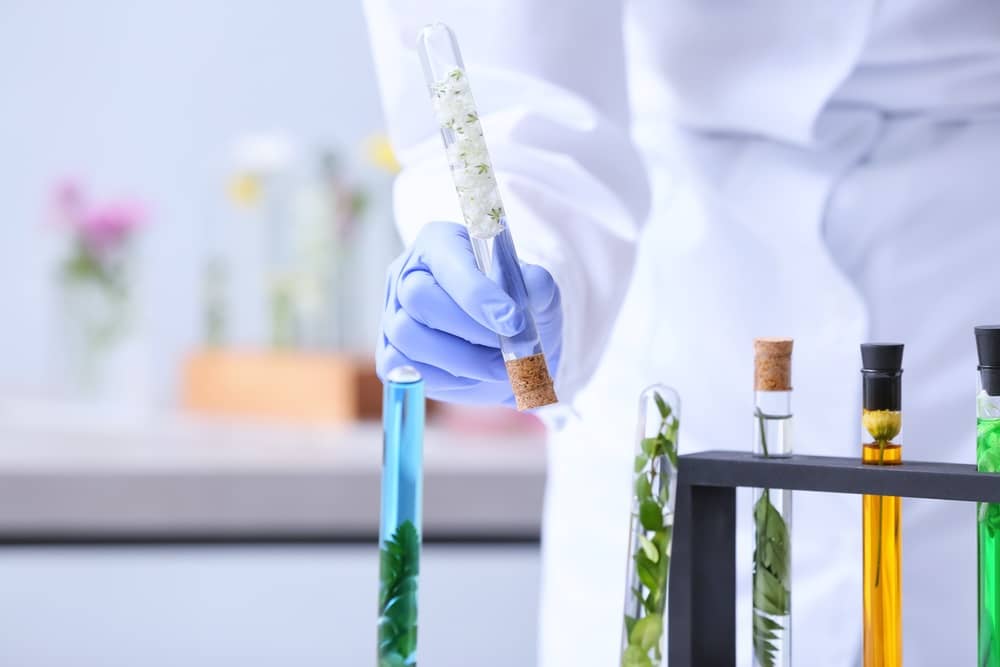 Best Perfume Similar To Pure Seduction Grooming Wise