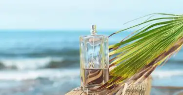 Which Pacifica Perfume Smells The Best