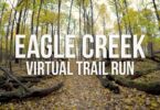 Treadmills With Virtual Trails 11