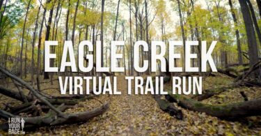 Treadmills With Virtual Trails 2