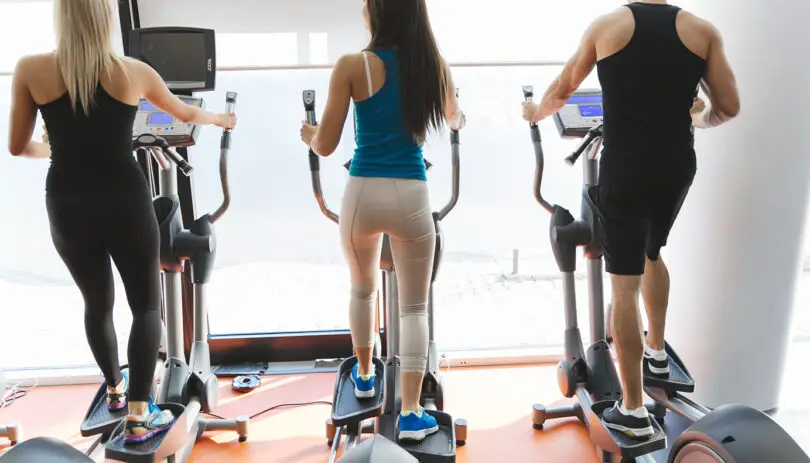 5 Best Elliptical Machine for Lower Back Pain 1