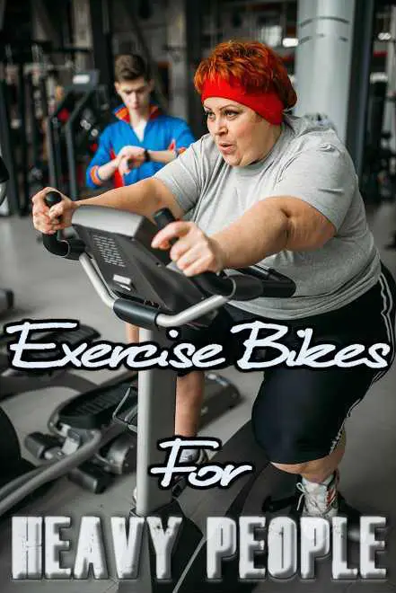 Spin Bike for Over 300 Pounds 1