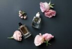 Perfume Similar To Versace Versense