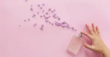 Perfume Similar To Versace Woman