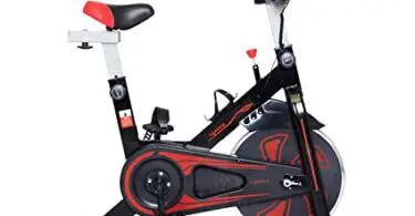 Lifelong Llf45 Fit Pro Spin Exercise Bike Review 3
