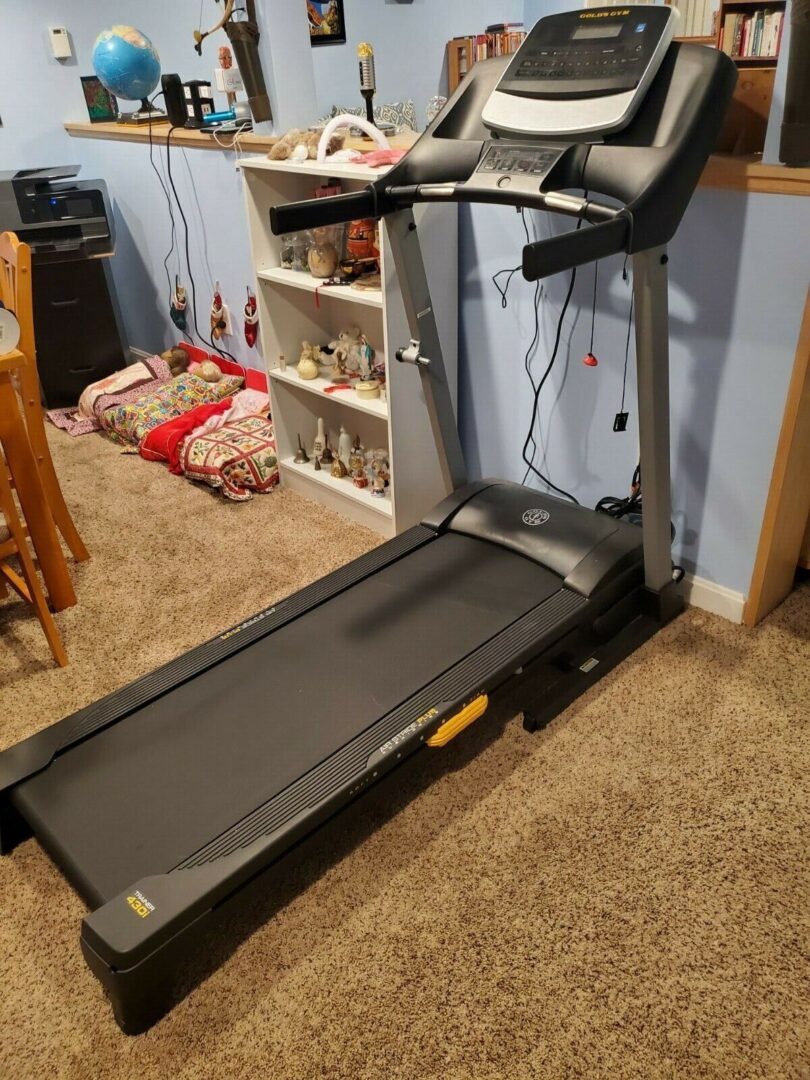 Gold'S Gym Trainer 430I Treadmill How to Start 1