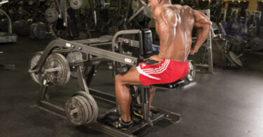 5 Best Seated Dip Machine for Lower Chest 3