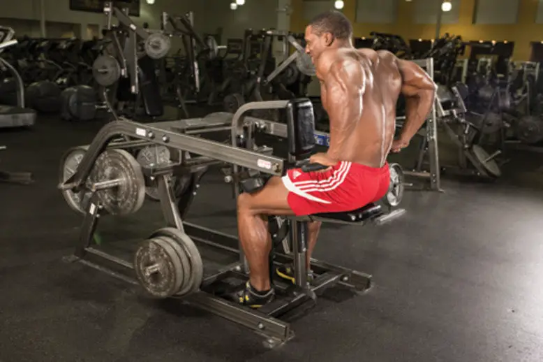 5 Best Seated Dip Machine for Lower Chest 1