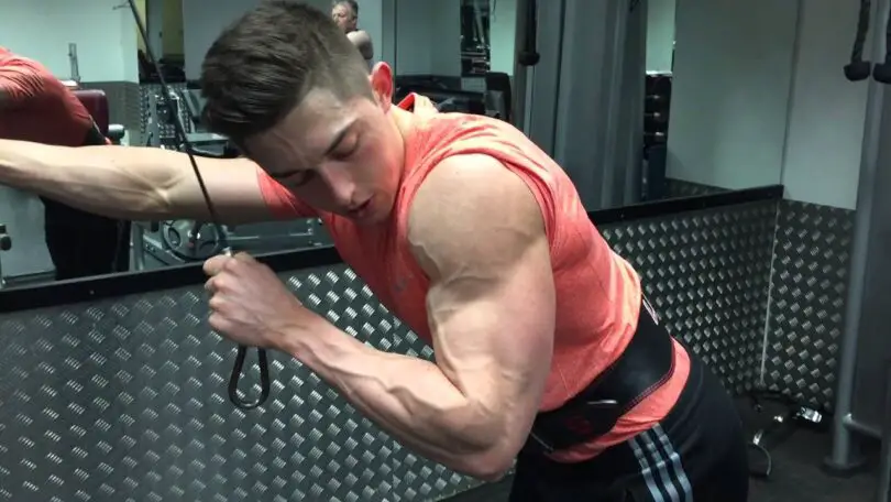 Machine Tricep Extension Alternative 1