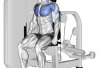 5 Best Seated Dip Machine for Triceps 10