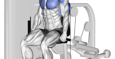 5 Best Seated Dip Machine for Triceps 3