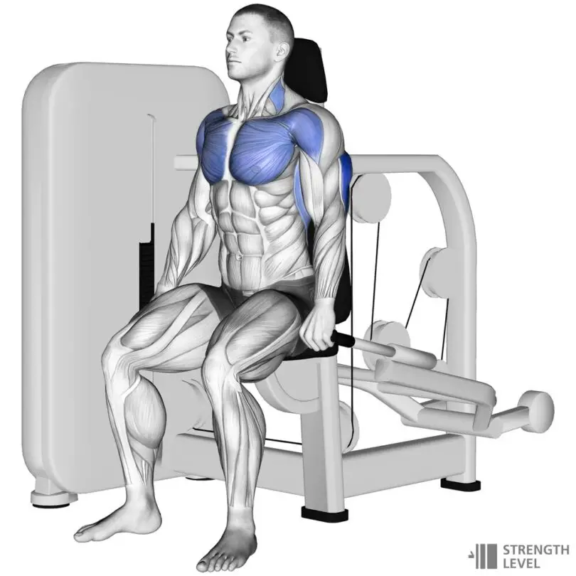 5 Best Seated Dip Machine for Triceps 1