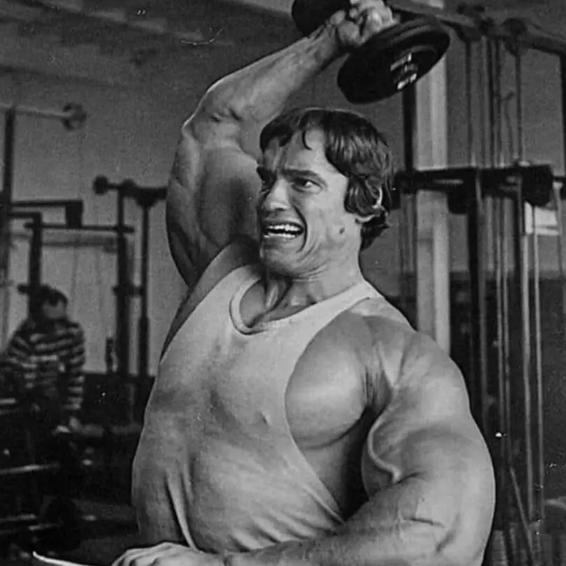 Tricep Extension Machine Vs Dumbbell 1