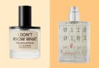 What Aroma Smells Away Anxiety: Discover the Best Scents 6