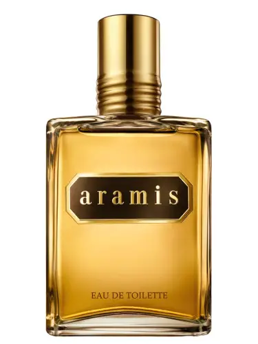 Top 10 Best Men's Perfumes in India Under 500: A Fragrance Galore! 1