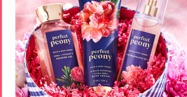 Discover the Ultimate Best Scent Bath & Body Works Candle Collection 3