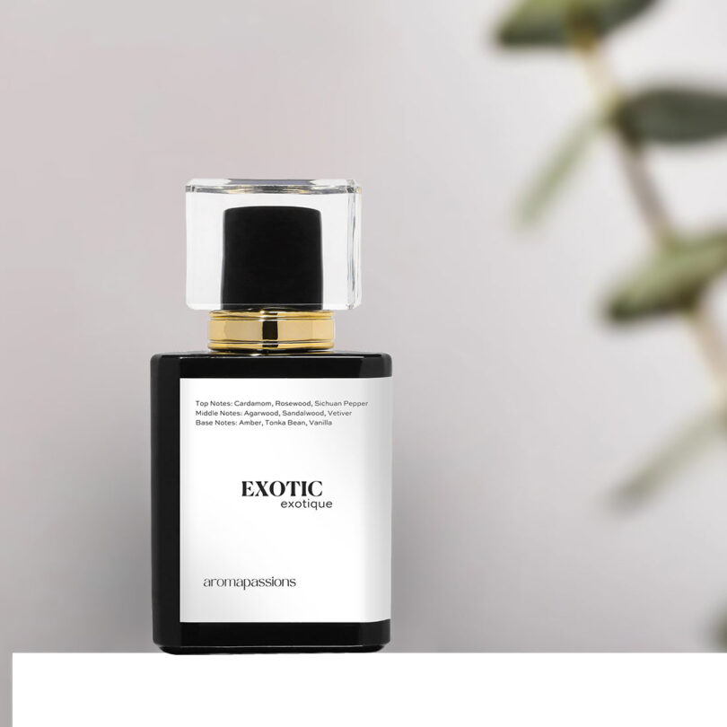 Discover the Exotic: Best Perfume with Cardamom 1