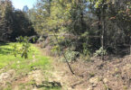 Boost Your Hunting Success: Best Scent for Mock Scrapes 19