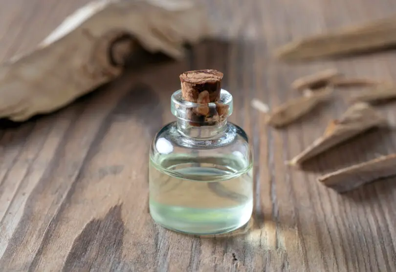 Best Cologne With Sandalwood: The Ultimate Guide. 1