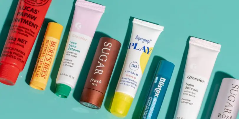 Top 10 Fragrance-Free Lip Balms for Smooth and Healthy Lips 1