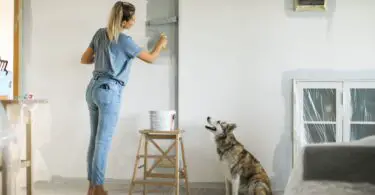 Banish Unwanted Smells with the Best Odor Blocking Paint 2
