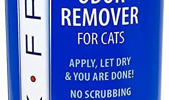 Say Goodbye to Cat Pee Smell: Best Odour Remover Solution 2