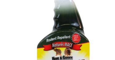 Top 10 Powerful Scents to Get Rid of Mice 3