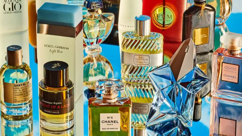 Top 5 Dolce And Gabbana Perfume: Must-Have Scents for Your Collection. 1