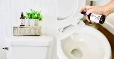 Top 10 Best Odour Eliminators for Toilets: Fight the Stench 2