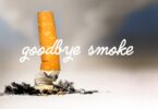 Say Goodbye to Cigarette Smell: Best Odor Absorber Revealed 18