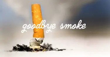 Say Goodbye to Cigarette Smell: Best Odor Absorber Revealed 2