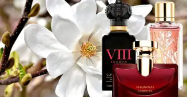 Top Magnolia Fragrances: The Best Perfume with Magnolia 3