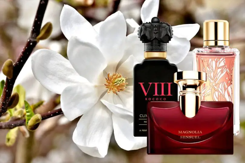 Top Magnolia Fragrances: The Best Perfume with Magnolia 1
