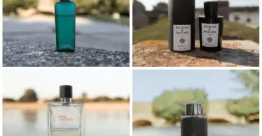 Top 10 Best Perfumes for Summer Male: Stay Fresh All Day 2