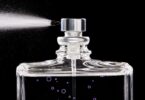 Top 10 Best Perfumes under $150: Smell Amazing on a Budget 7