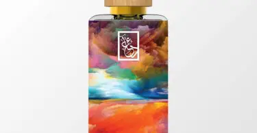 Acqua Di Gio Smells Like Heaven: Unleashing Its Aromatic Power 3