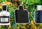 Top 3 Men's Cologne: Unleash Your Irresistible Appeal Today! 5