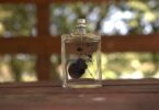 Unleash Your Scent Game with Cheap Molecule 01 Perfume! 7